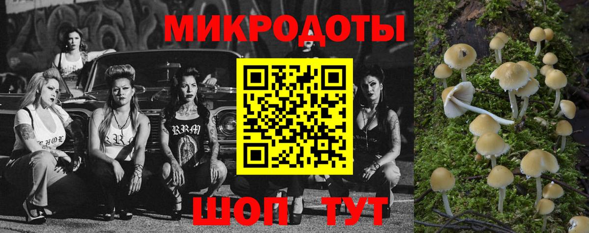 Галлюциногенные грибы ЛСД Фролово