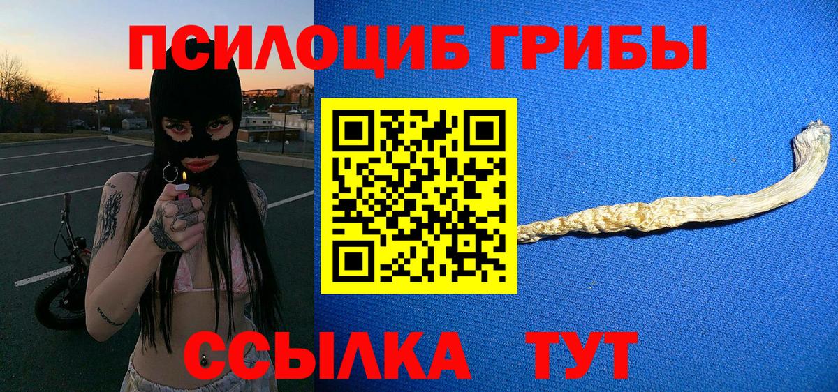 где купить   Псилоцибиновые грибы Psilocybine cubensis  Псилоцибиновые грибы GOLDEN TEACHER  Вход с VPN  Фролово 